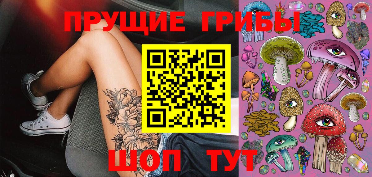Галлюциногенные грибы мицелий  Вход с VPN  Галлюциногенные грибы Psilocybe  Грязи 